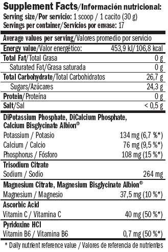 Amix Isolyte Sport Drink 510gr